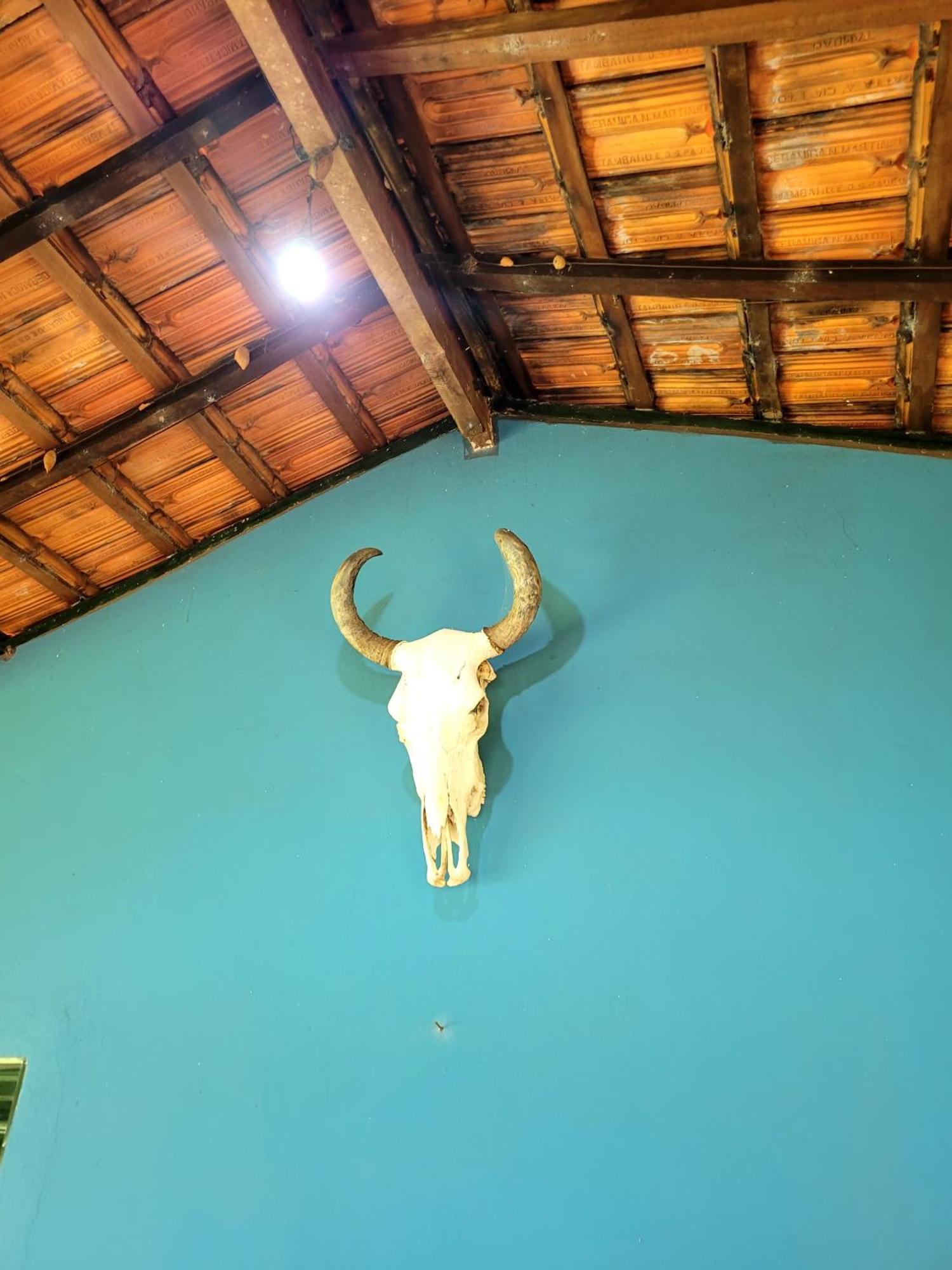 Pousada Fazenda Sao Pedro Delfinópolis Eksteriør bilde